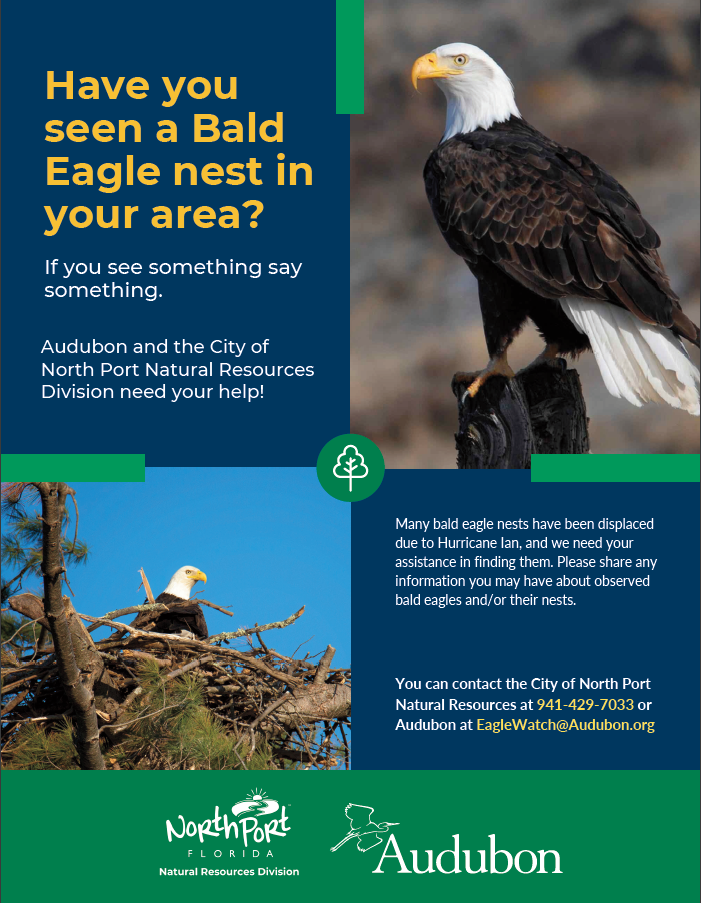 Bald Eagle Flyer image.png