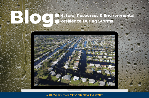 Natural-Resources-Environmental-Resilience.png