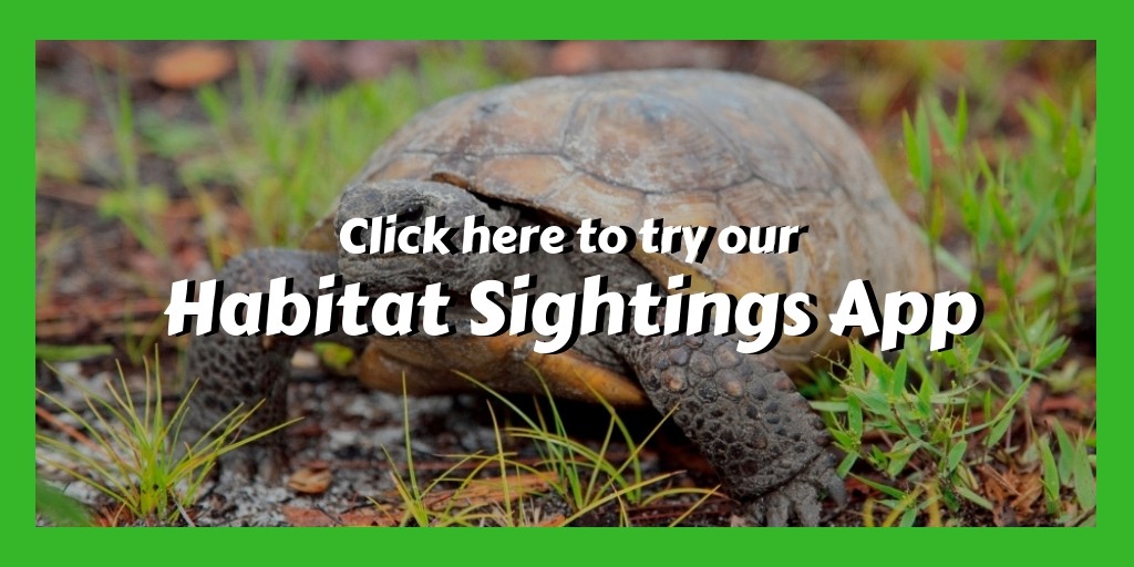 habitatsightingsapp.jpg