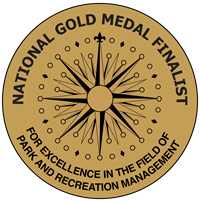Gold-Medal-Finalist-Logo