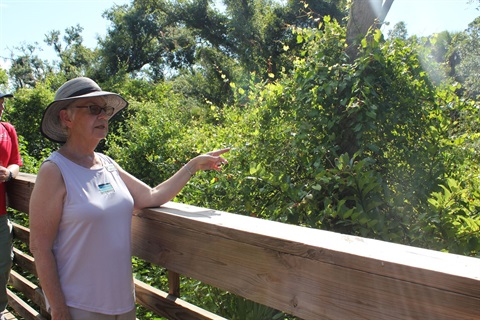 Nature_Walk_MCGT