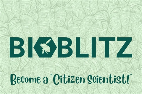 BioBlitz-Logo.jpg