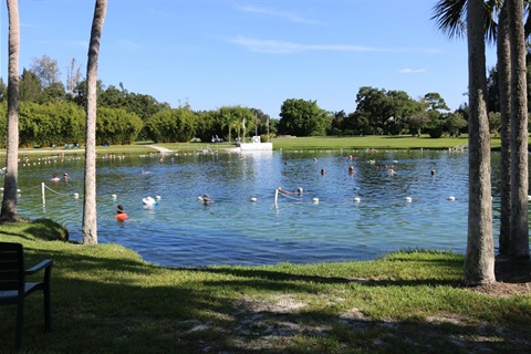 Warm mineral springs
