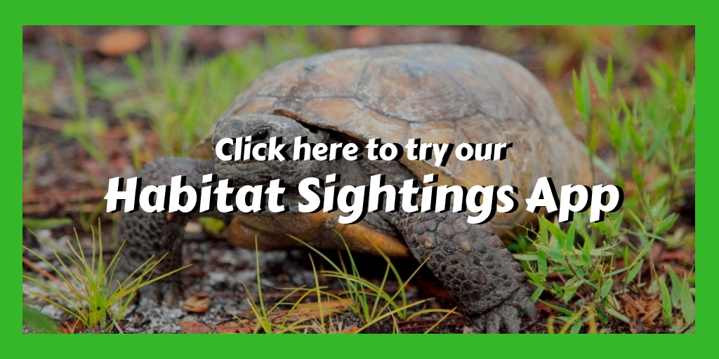 Habitat Sightings web application