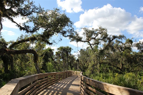Myakkahatchee_Creek_Greenway_Nature Trail