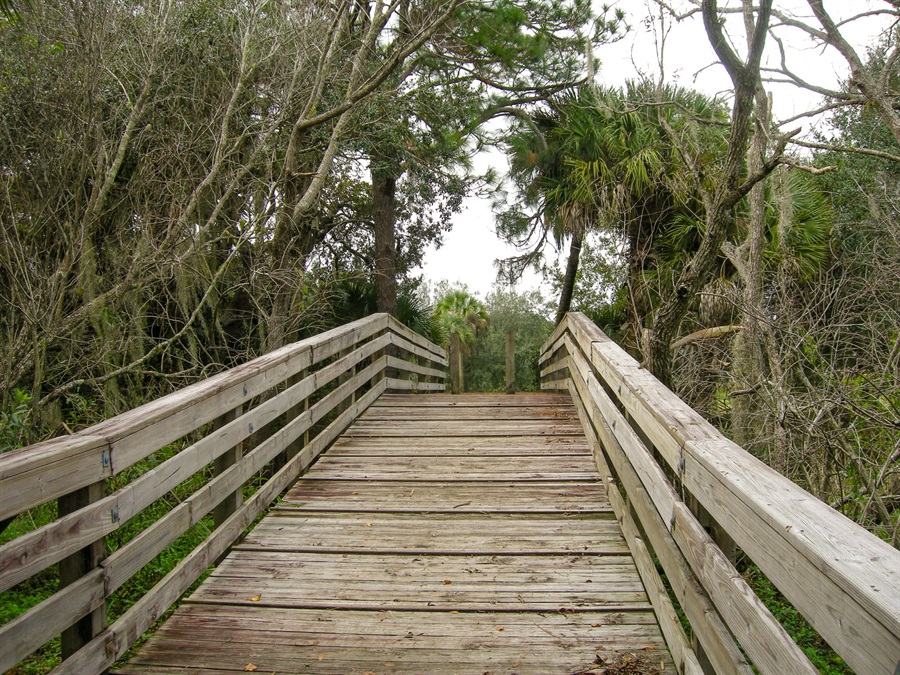 boardwalk on a trail