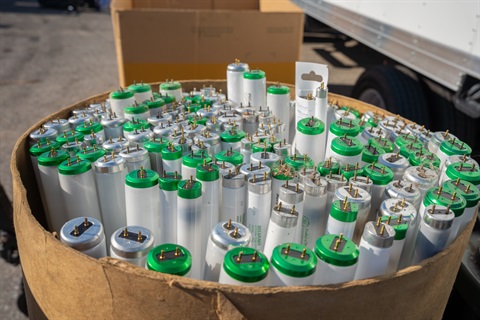 lightbulbs in a container