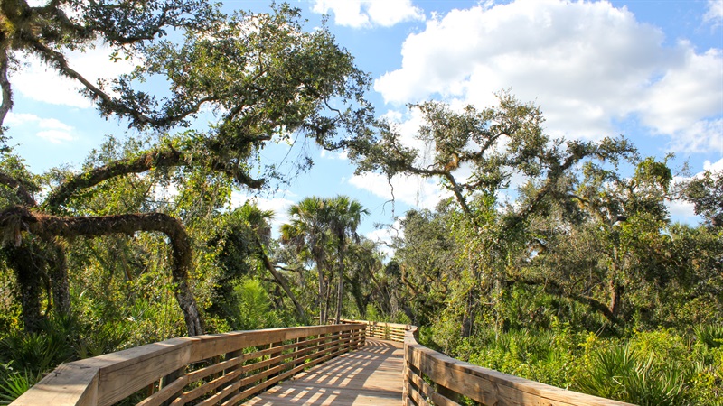 Myakkahatchee_Creek_Greenway_Nature Trail_101823 (5)-2.jpg