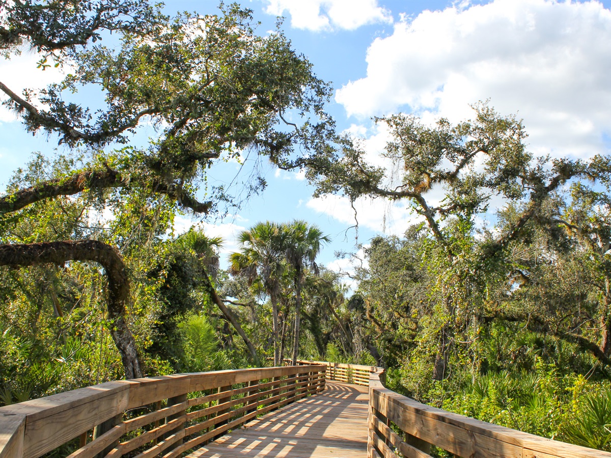 Myakkahatchee Creek Greenway nature trail in North Port