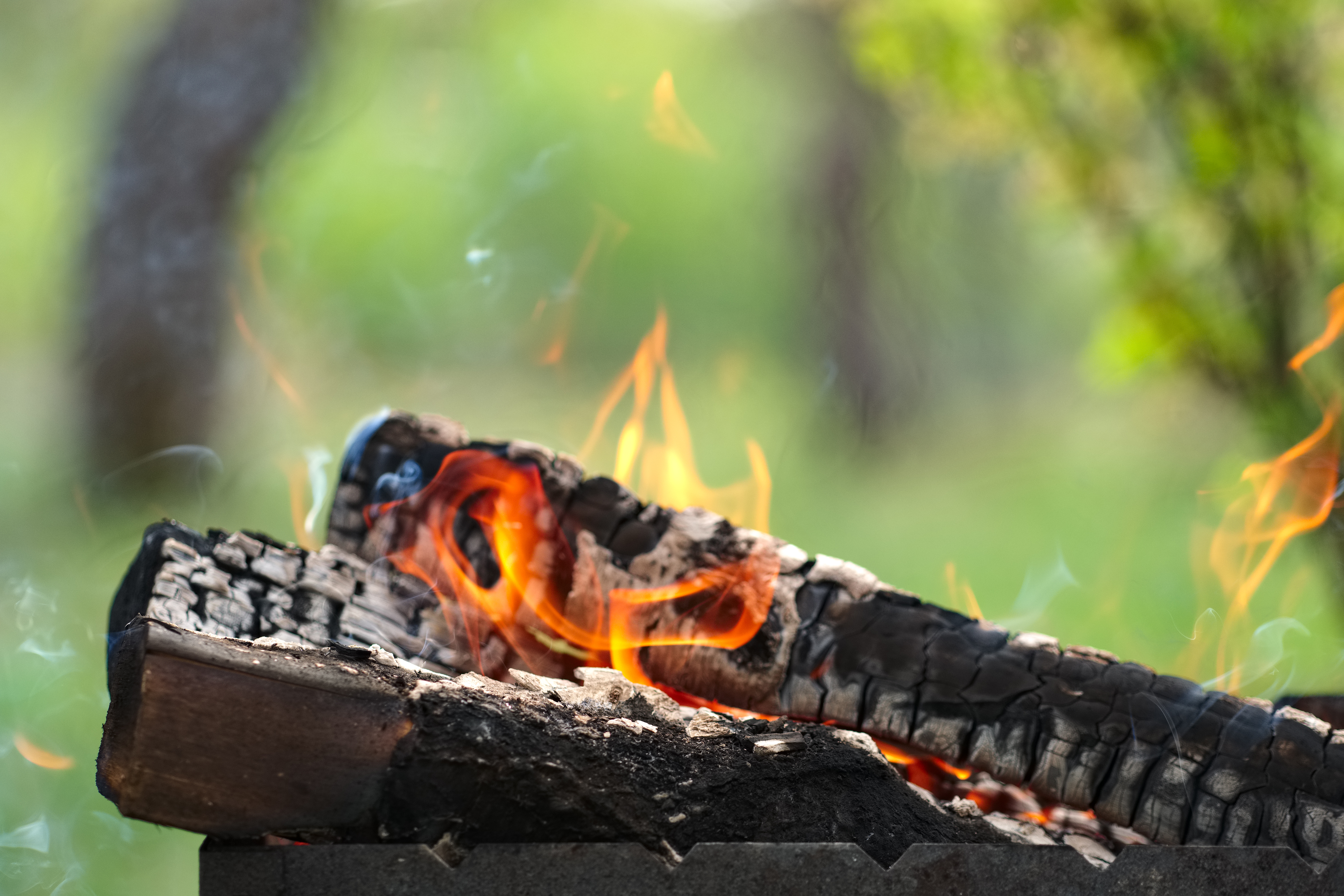 burning-firewood-in-the-fire-outdoor-2025-01-09-12-21-54-utc.jpg